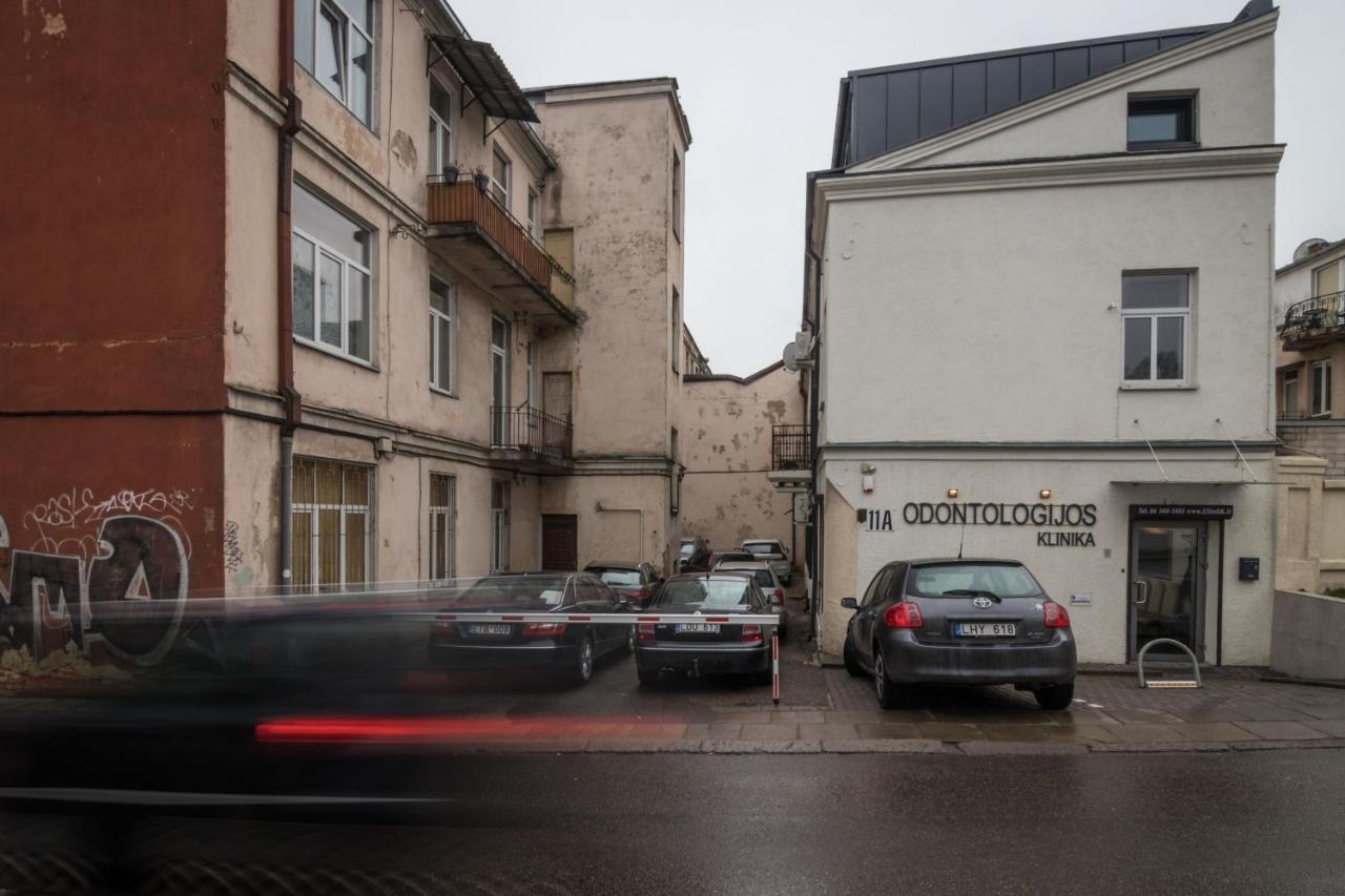 Dandelion Apartment In The Heart Of Kaunas Ngoại thất bức ảnh